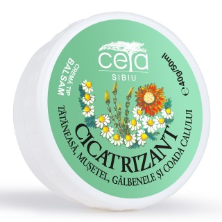 UNGUENT CICATRIZANT